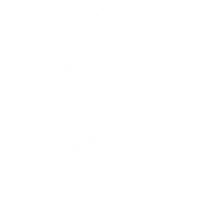 Crispim BJJ & MMA Barra Brothers Logo