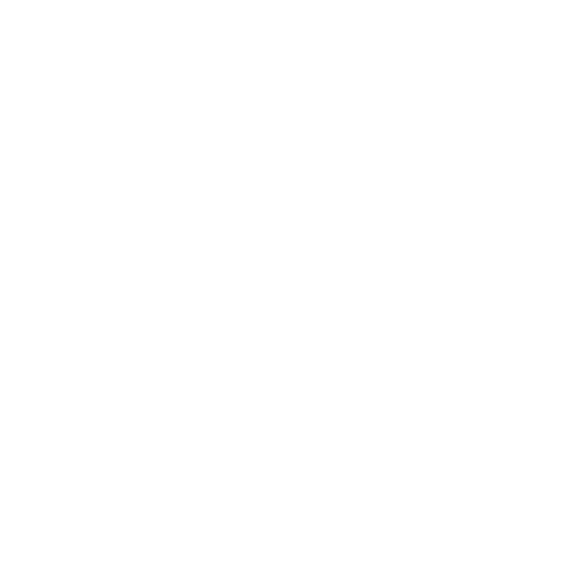 Crispim BJJ & MMA Barra Brothers Logo